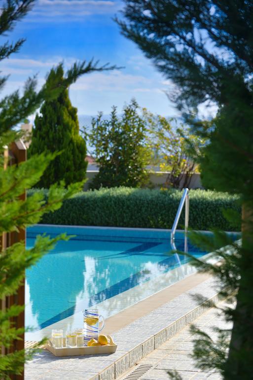Danae Villas Limenas Chersonisou Exterior foto